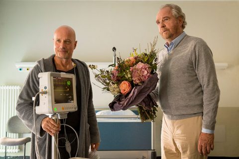 Abbildung zum Film "Traumfrauen"